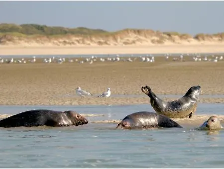 Appartement A L'abri Des Vagues